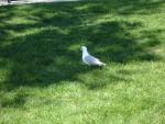 DSC00208.JPG