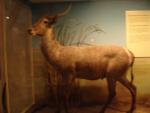 DSC00215.JPG
