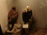 DSC00232.JPG