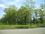 DSC00334.JPG