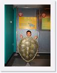 DSC01110 * 2592 x 1944 * (2.93MB)