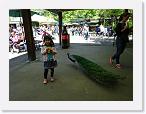 DSC05663 * 2592 x 1944 * (2.39MB)