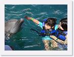 DSC06782 * 2592 x 1944 * (2.08MB)