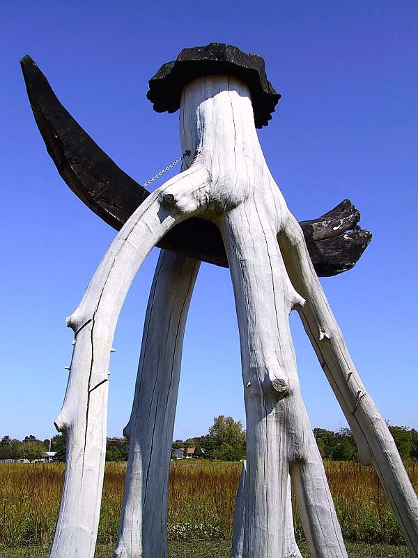 118-1851_IMG.JPG