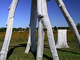 118-1853_IMG