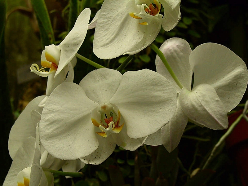 128-2879_IMG.JPG