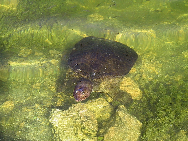128-2894_IMG.JPG