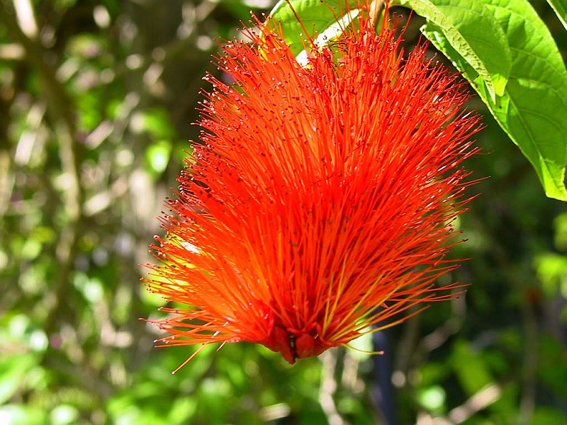 129-2905_IMG.JPG