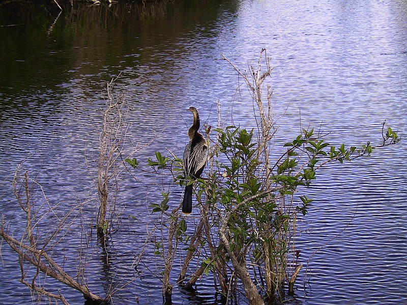 130-3030_IMG.JPG