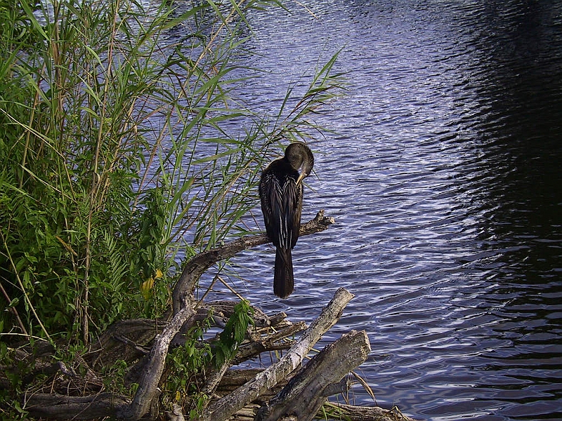 130-3043_IMG.JPG