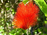 129-2905_IMG