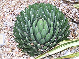 129-2909_IMG