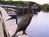 130-3037_IMG