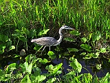 130-3047_IMG