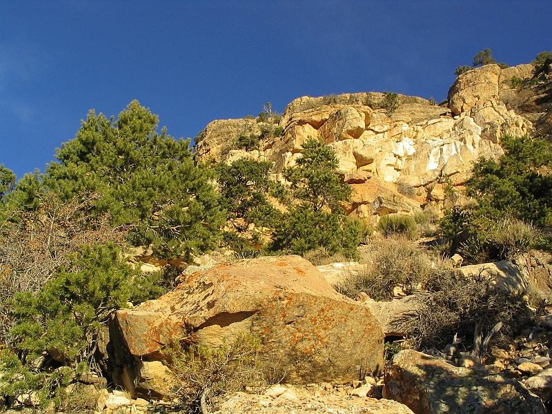 171_7155.JPG