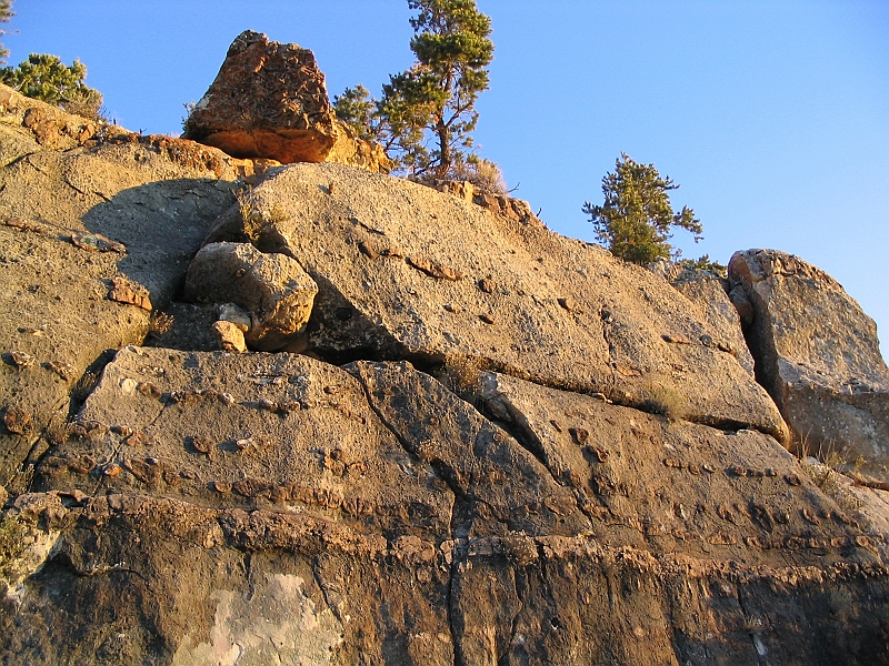 171_7175.JPG