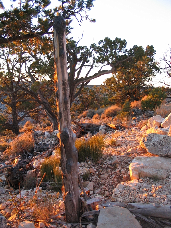 171_7184.JPG