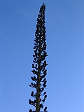 171_7140