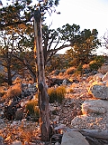 171_7184