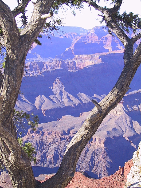 172_7255.JPG