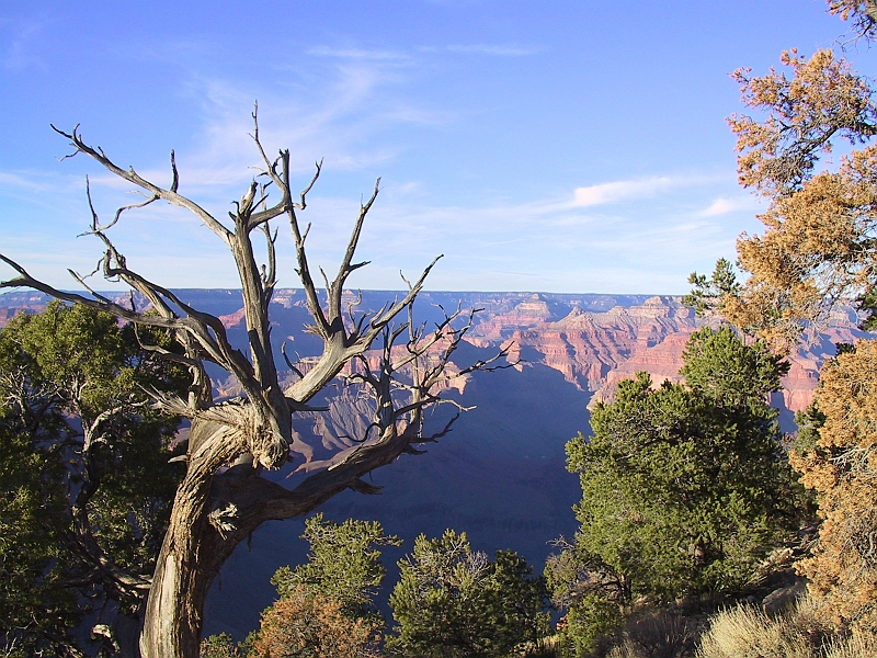 172_7294.JPG