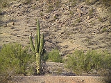 170_7064