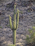 170_7070