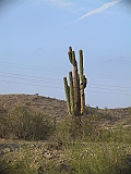 170_7079