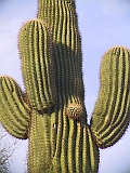 170_7090