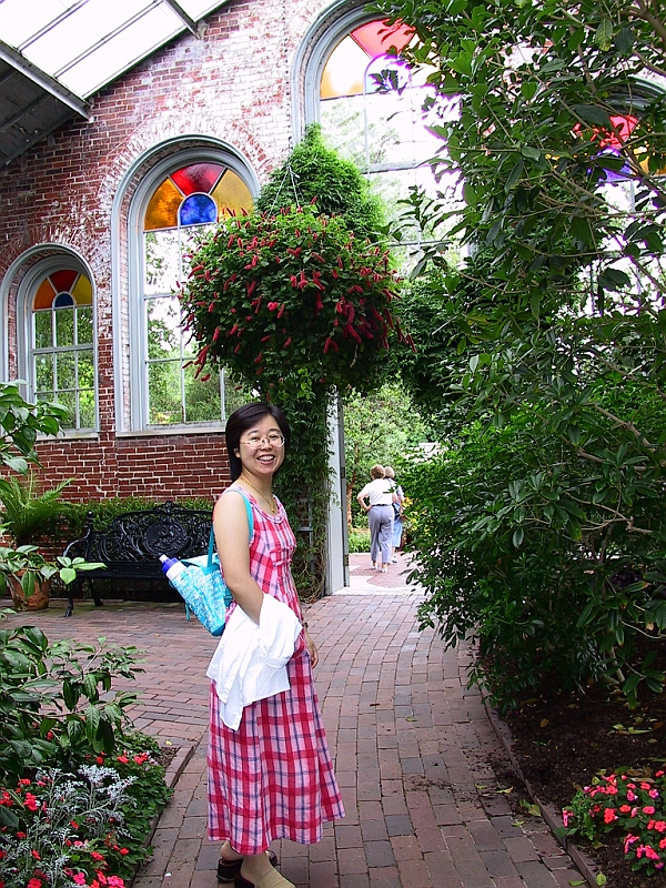 158_5859.JPG - øhThe Linnean House, the oldest continuously operating greenhouse conservatory in the United States, contains the Garden's camellia collection.
