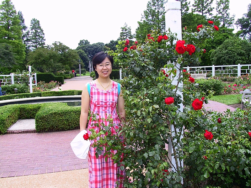 158_5866.JPG - øhRose and herb GardenShaped in a giant wheel, the Gladney Rose Garden displays 250 varieties of hybrid tea and floribunda roses.