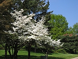 IMG_0585