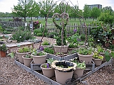 IMG_0793