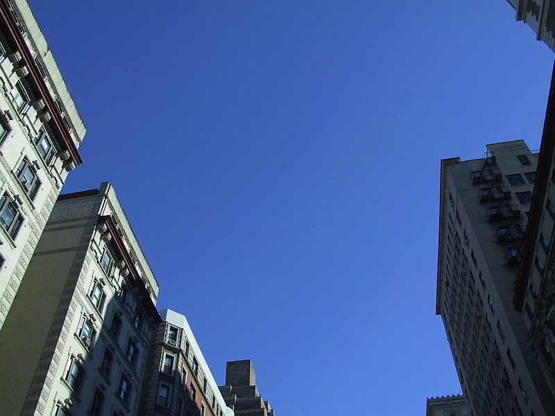 174_7447.JPG