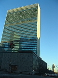 174_7019