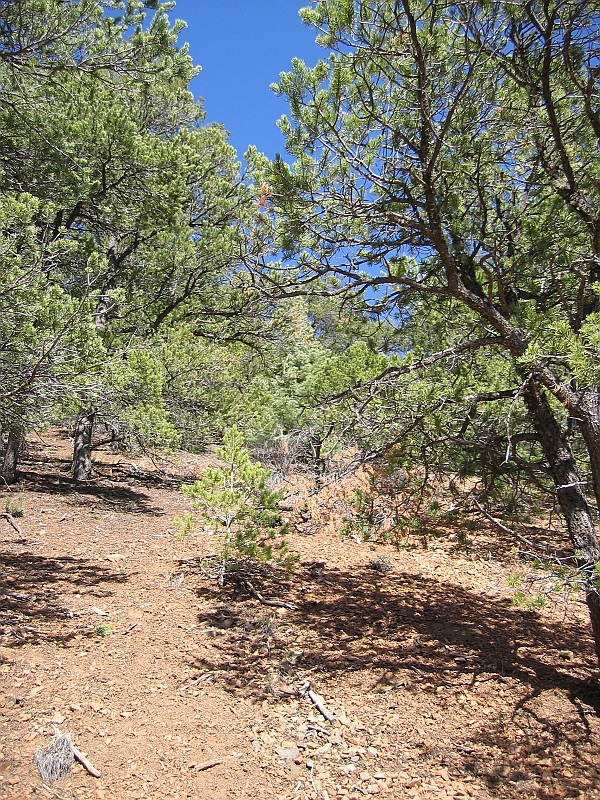 IMG_0256.JPG