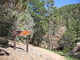 IMG_0252