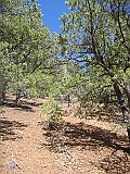 IMG_0256