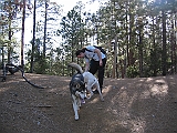 IMG_0281