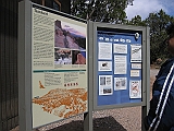 IMG_0386