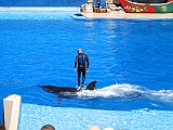 IMG_3354