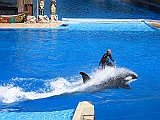 IMG_3357