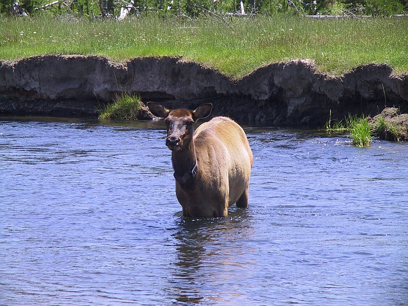 IMG_8244.JPG