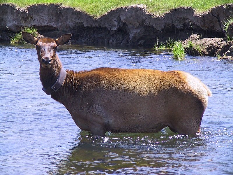 IMG_8247.JPG