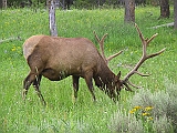 IMG_7929