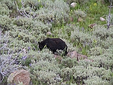 IMG_7955