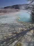 IMG_8008