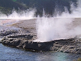 IMG_8442
