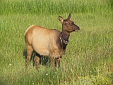 IMG_8499