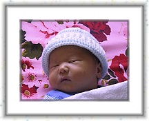 IMG_9174 * 1024 x 768 * (434KB)